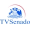 Senado TV. Un resumen con todas las noticias del Senado.